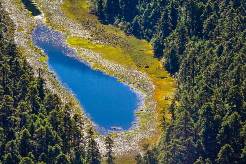 文润山海,粤林情长 !《我在林芝等你》主题摄影展亮相宝安美术馆(图7) 文润山海,粤林情长 !《我在林芝等你》主题摄影展亮相宝安美术馆(图7)