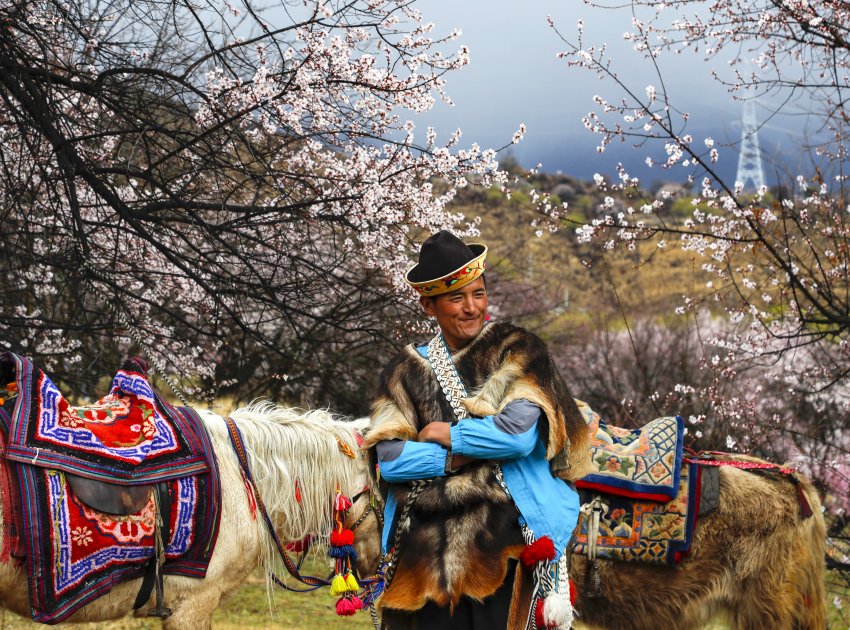 文润山海,粤林情长 !《我在林芝等你》主题摄影展亮相宝安美术馆(图8) 文润山海,粤林情长 !《我在林芝等你》主题摄影展亮相宝安美术馆(图8)