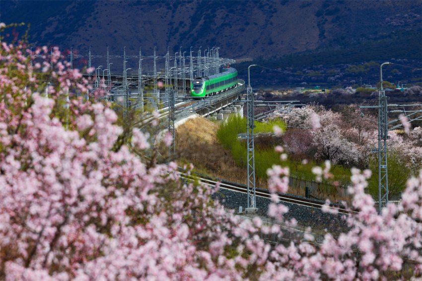 文润山海,粤林情长 !《我在林芝等你》主题摄影展亮相宝安美术馆(图9) 文润山海,粤林情长 !《我在林芝等你》主题摄影展亮相宝安美术馆(图9)