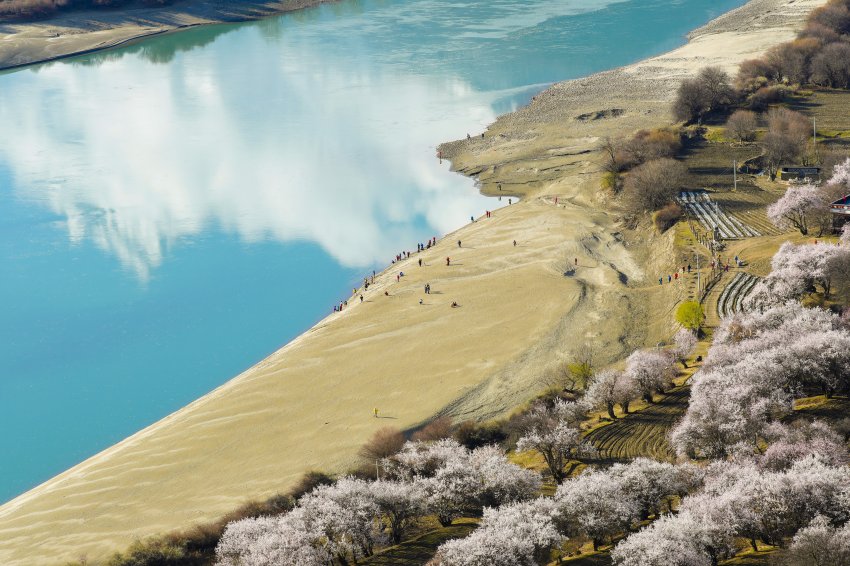 文润山海,粤林情长 !《我在林芝等你》主题摄影展亮相宝安美术馆(图11) 文润山海,粤林情长 !《我在林芝等你》主题摄影展亮相宝安美术馆(图11)