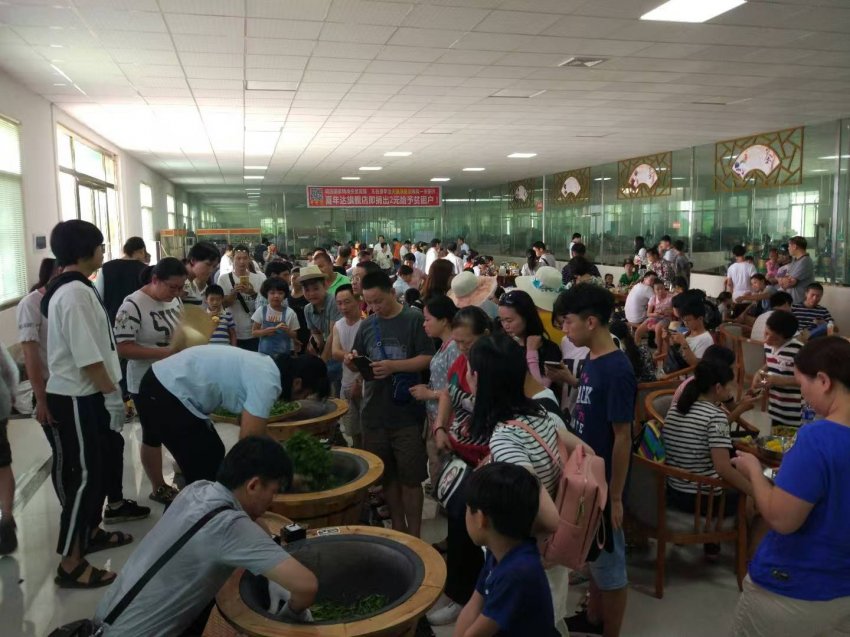 “九九重阳,茶香绵长——探访英德红茶世家,共话‘英州红’茶趣园传奇”(图5) “九九重阳,茶香绵长——探访英德红茶世家,共话‘英州红’茶趣园传奇”(图5)