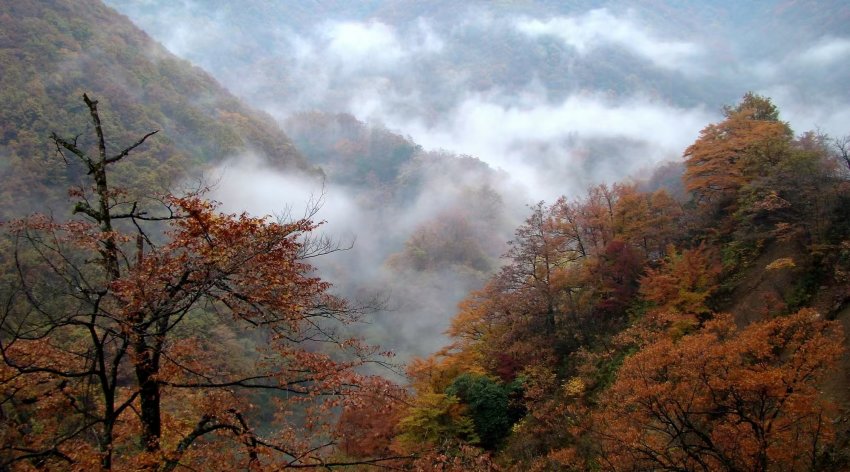 《情怀》诗集入诗(图1)