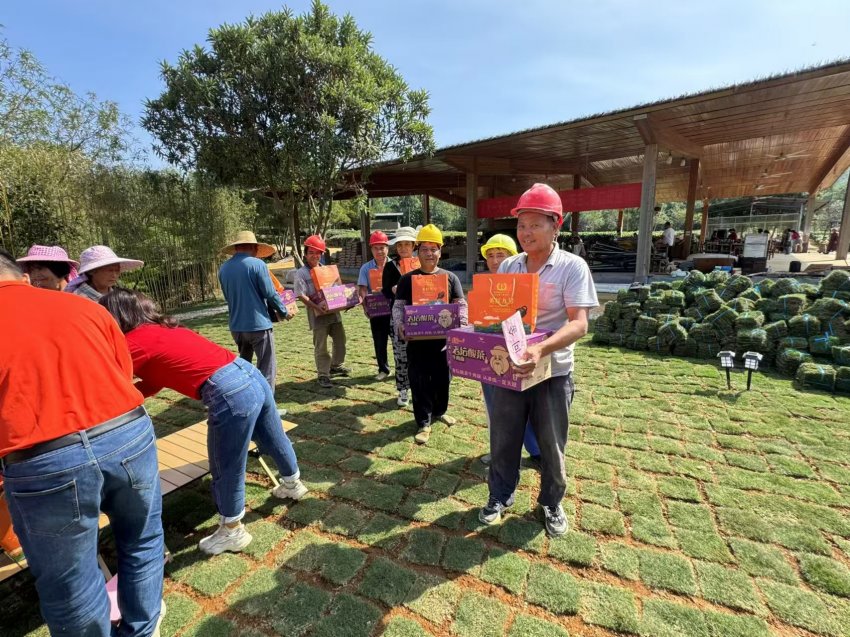 广东英洲红农文旅科技股份有限公司春节前慰问英德市茶农代表(图3) 广东英洲红农文旅科技股份有限公司春节前慰问英德市茶农代表(图3)