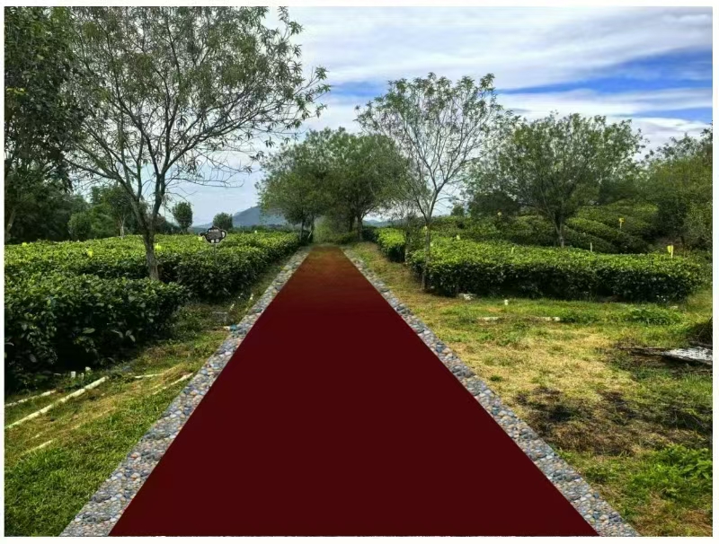 广东英洲红农文旅科技股份有限公司春节前慰问英德市茶农代表(图4) 广东英洲红农文旅科技股份有限公司春节前慰问英德市茶农代表(图4)