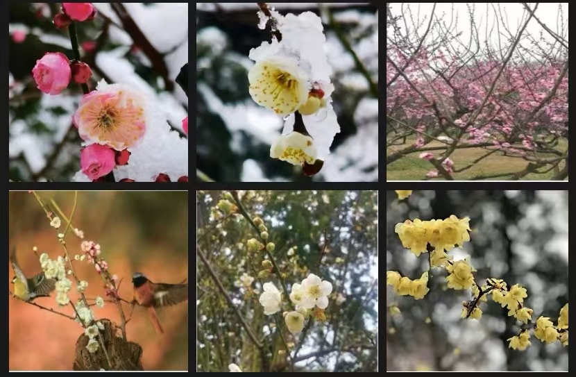 《情怀》诗集选摘(图1)