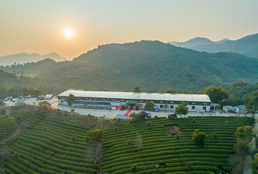 广东英洲红股份公司第一届第一次股东大会暨员工迎春年会圆满召开(图2) 广东英洲红股份公司第一届第一次股东大会暨员工迎春年会圆满召开(图3)