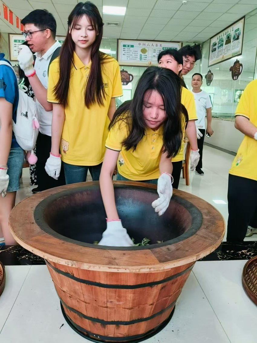 茶趣园景区全新升级 惠民门票迎春活动开业(图4) 茶趣园景区全新升级 惠民门票迎春活动开业(图5)