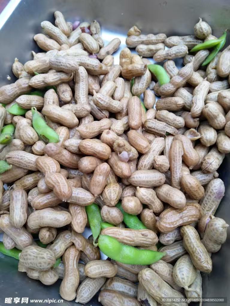 茶趣园景区全新升级 惠民门票迎春活动开业(图19) 茶趣园景区全新升级 惠民门票迎春活动开业(图20)