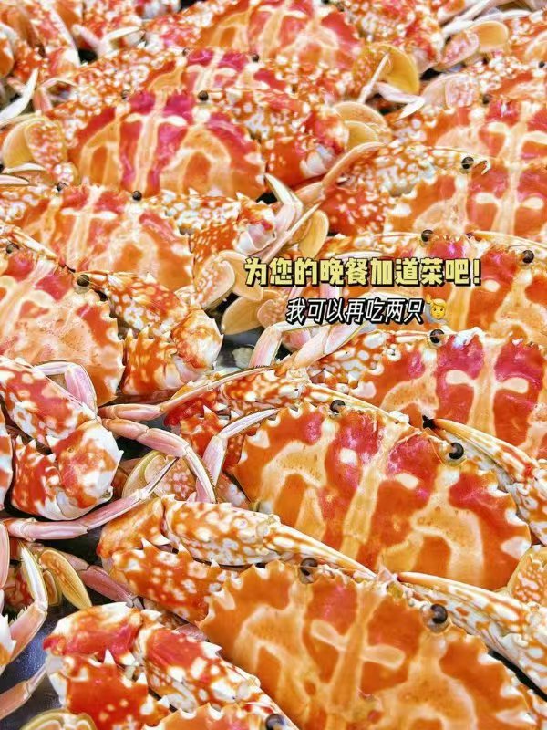 茶趣园景区全新升级 惠民门票迎春活动开业(图22) 茶趣园景区全新升级 惠民门票迎春活动开业(图23)