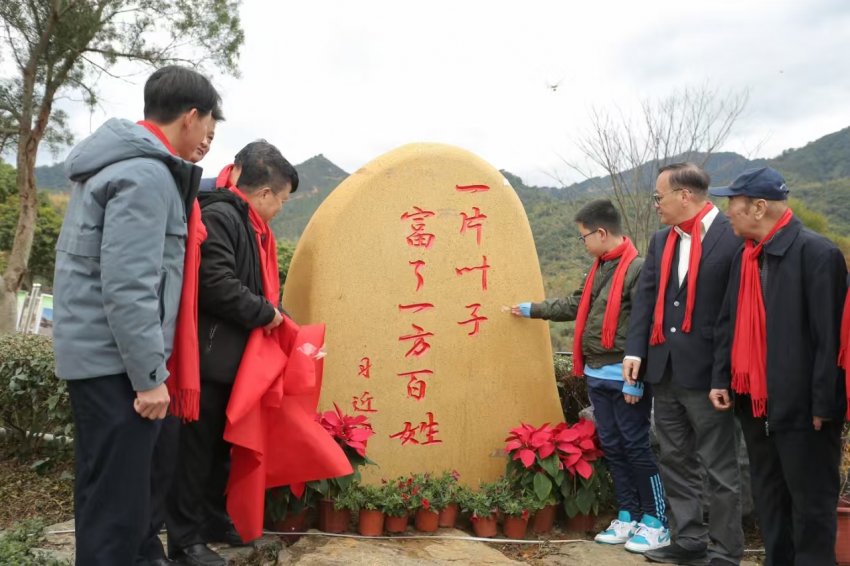 英德地质公园八角亭状元楼剪彩活动圆满落幕 (图9) 英德地质公园八角亭状元楼剪彩活动圆满落幕 (图9)