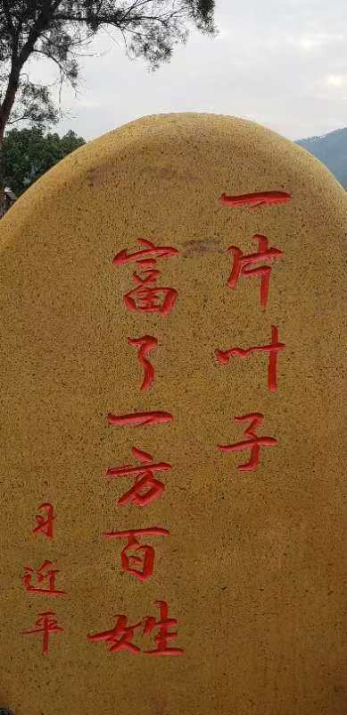 正月初一到八角亭状元楼祈福,知道在哪吗?新年石灰辅镇网红打卡点出炉了(图11) 正月初一到八角亭状元楼祈福,知道在哪吗?新年石灰辅镇网红打卡点出炉了(图11)