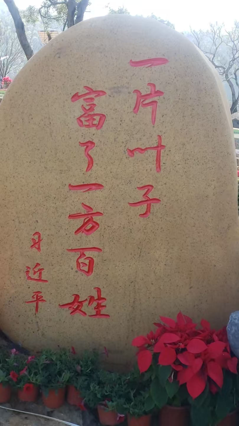 情暖新春:公司董事长黎沛德正月初一深入茶趣园景区慰问一线在岗员工(图2) 情暖新春:公司董事长黎沛德正月初一深入茶趣园景区慰问一线在岗员工(图2)