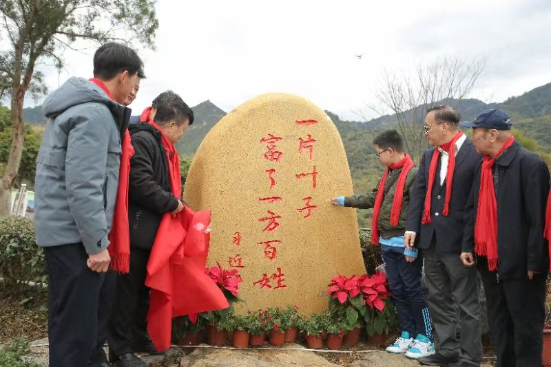 英德茶趣园景区正月初一迎客流高峰2188人次 市镇领导一线关怀助力乡村振兴发展(图11) 英德茶趣园景区正月初一迎客流高峰2188人次 市镇领导一线关怀助力乡村振兴发展(图9)