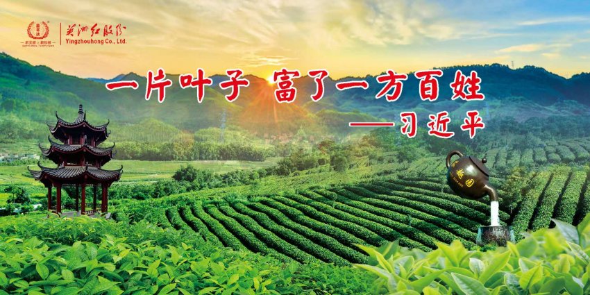 英德茶趣园景区大年初二迎客流热潮1663人次,“纯净园区”理念获游客点赞(图5) 英德茶趣园景区大年初二迎客流热潮1663人次,“纯净园区”理念获游客点赞(图5)