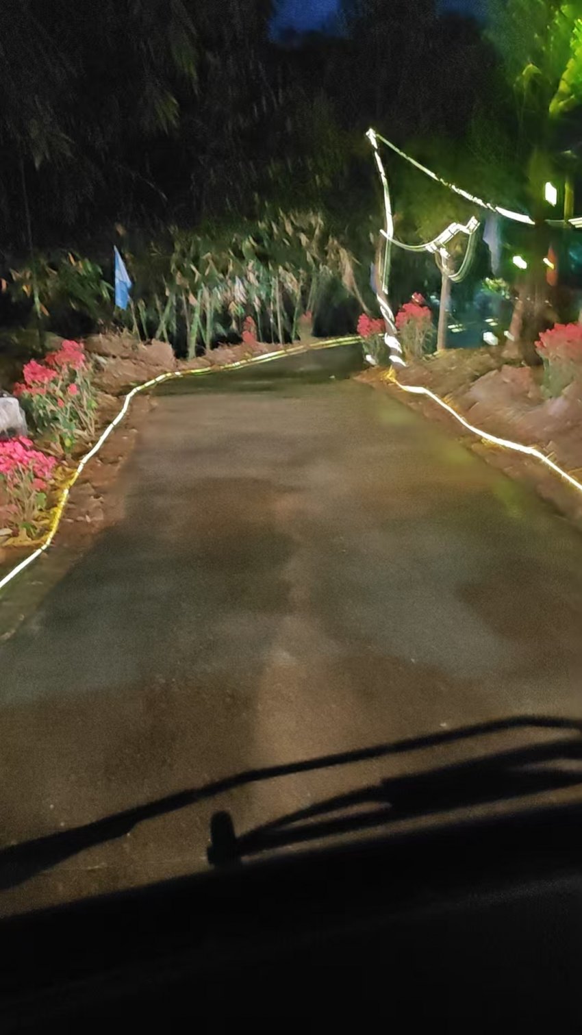 英德茶趣园景区大年初二迎客流热潮1663人次,“纯净园区”理念获游客点赞(图15) 英德茶趣园景区大年初二迎客流热潮1663人次,“纯净园区”理念获游客点赞(图15)