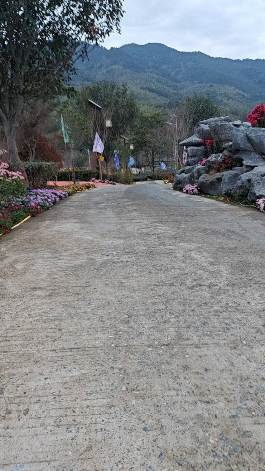 英德茶趣园景区大年初二迎客流热潮1663人次,“纯净园区”理念获游客点赞(图16) 英德茶趣园景区大年初二迎客流热潮1663人次,“纯净园区”理念获游客点赞(图16)