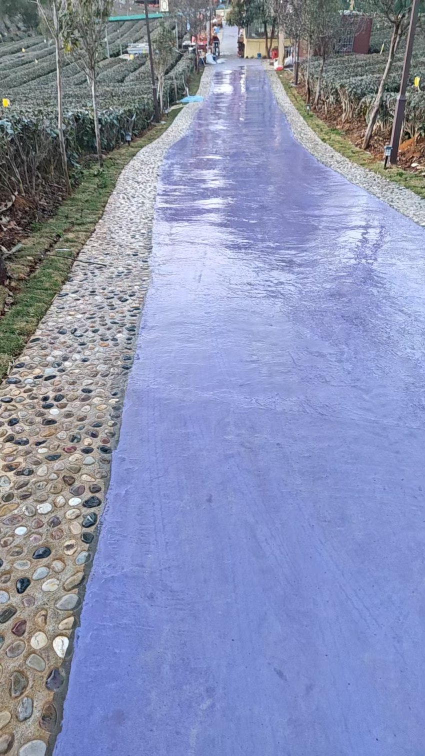 英德茶趣园景区大年初二迎客流热潮1663人次,“纯净园区”理念获游客点赞(图18) 英德茶趣园景区大年初二迎客流热潮1663人次,“纯净园区”理念获游客点赞(图18)