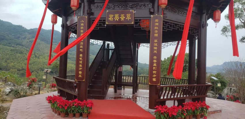 广东英德茶趣园景区感恩回馈 助力家乡文旅发展,年初五雨天客流量仍有1063人次(图4) 广东英德茶趣园景区感恩回馈 助力家乡文旅发展,年初五雨天客流量仍有1063人次(图4)