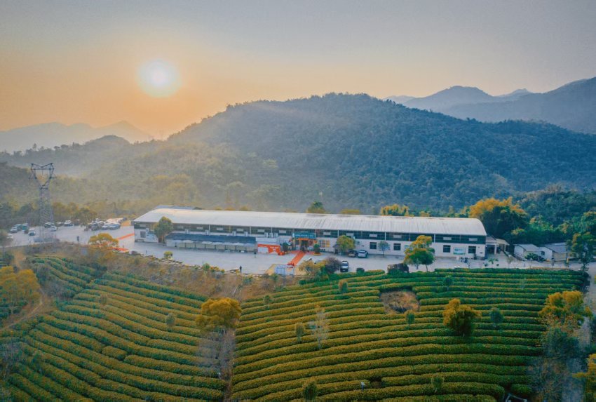 茶趣园景区惠民38元门票含自助餐白天吃到晚,初八客流量1168人次,八天来包括免票7万人次(图5) 茶趣园景区惠民38元门票含自助餐白天吃到晚,初八客流量1168人次,八天来包括免票7万人次(图5)