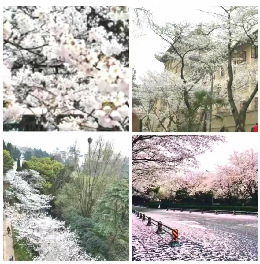 《情怀》诗集选读(图2)