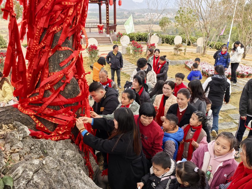 石灰铺镇茶趣园景区旅游推广活动来袭，开启夏日欢乐之旅！ (图10)