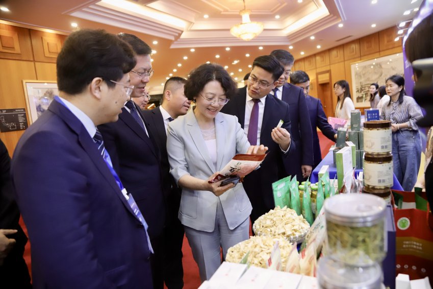湾区聚势 药香引凤——邵阳中医药产业抢滩粤港澳|药王文化“联姻”湾区资