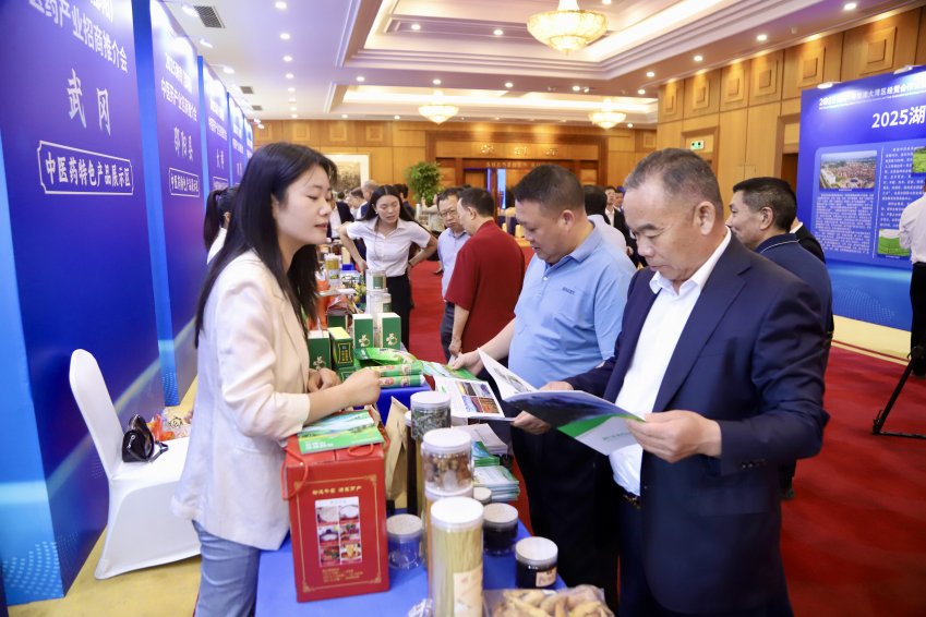 湾区聚势 药香引凤——邵阳中医药产业抢滩粤港澳|药王文化“联姻”湾区资本 千年邵阳按下快进键(图2)