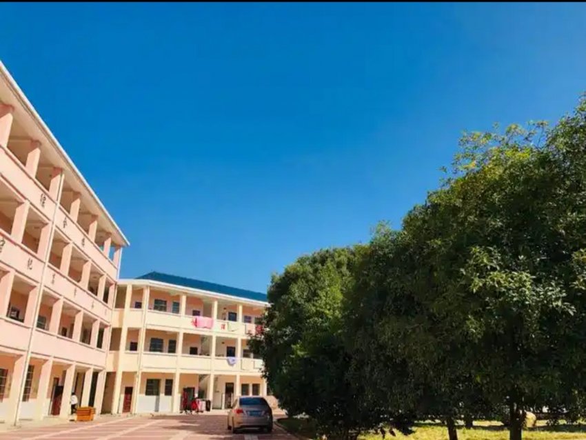 三简课堂价值高  ---课堂要深耕,教学须简约