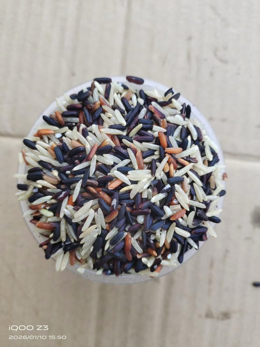 清远“潮佳三色抗糖糙米”入驻英德茶趣园 英洲红科技农业融合成果获瞩目(图6)