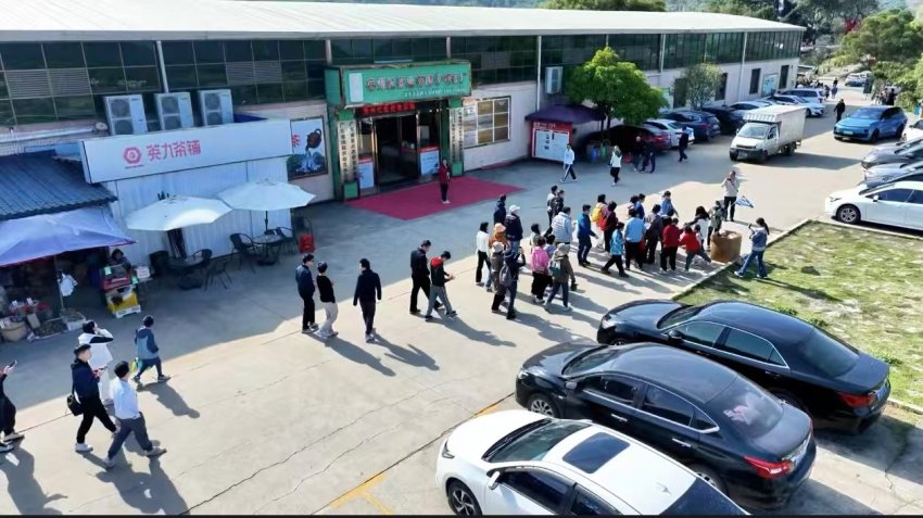 英洲红股份回顾过去：绘就农文旅融合新图景，谱写就业富民新篇章(图3)