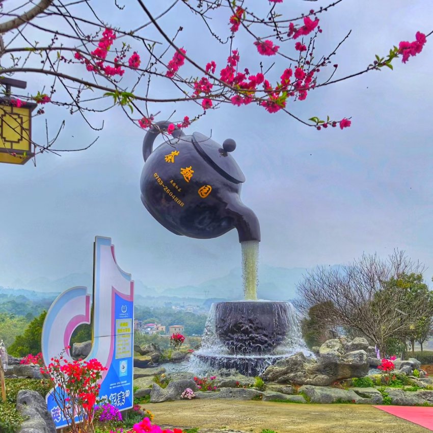 英洲红股份回顾过去：绘就农文旅融合新图景，谱写就业富民新篇章(图2)