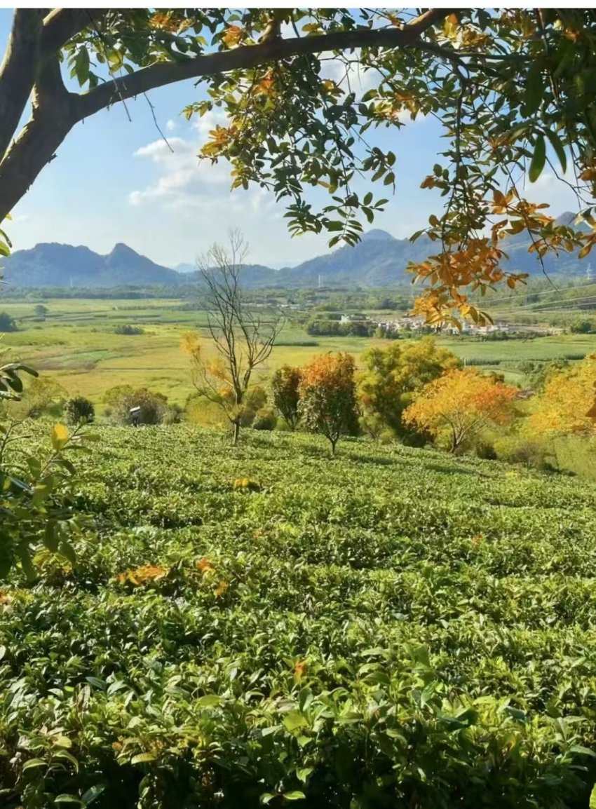 《清远不远》近日全国将首发一首歌(图2)