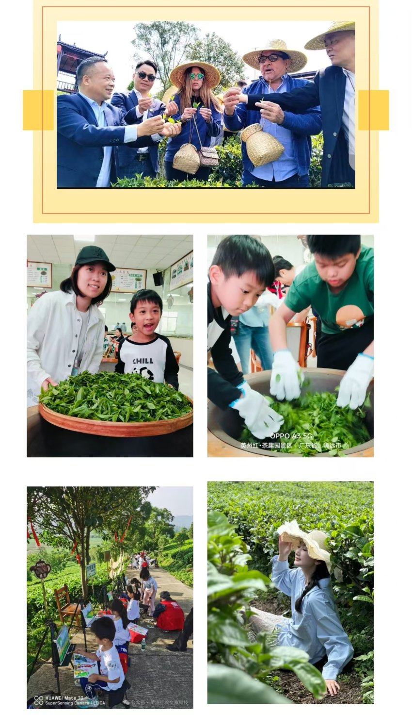 《清远不远》近日全国将首发一首歌(图5)