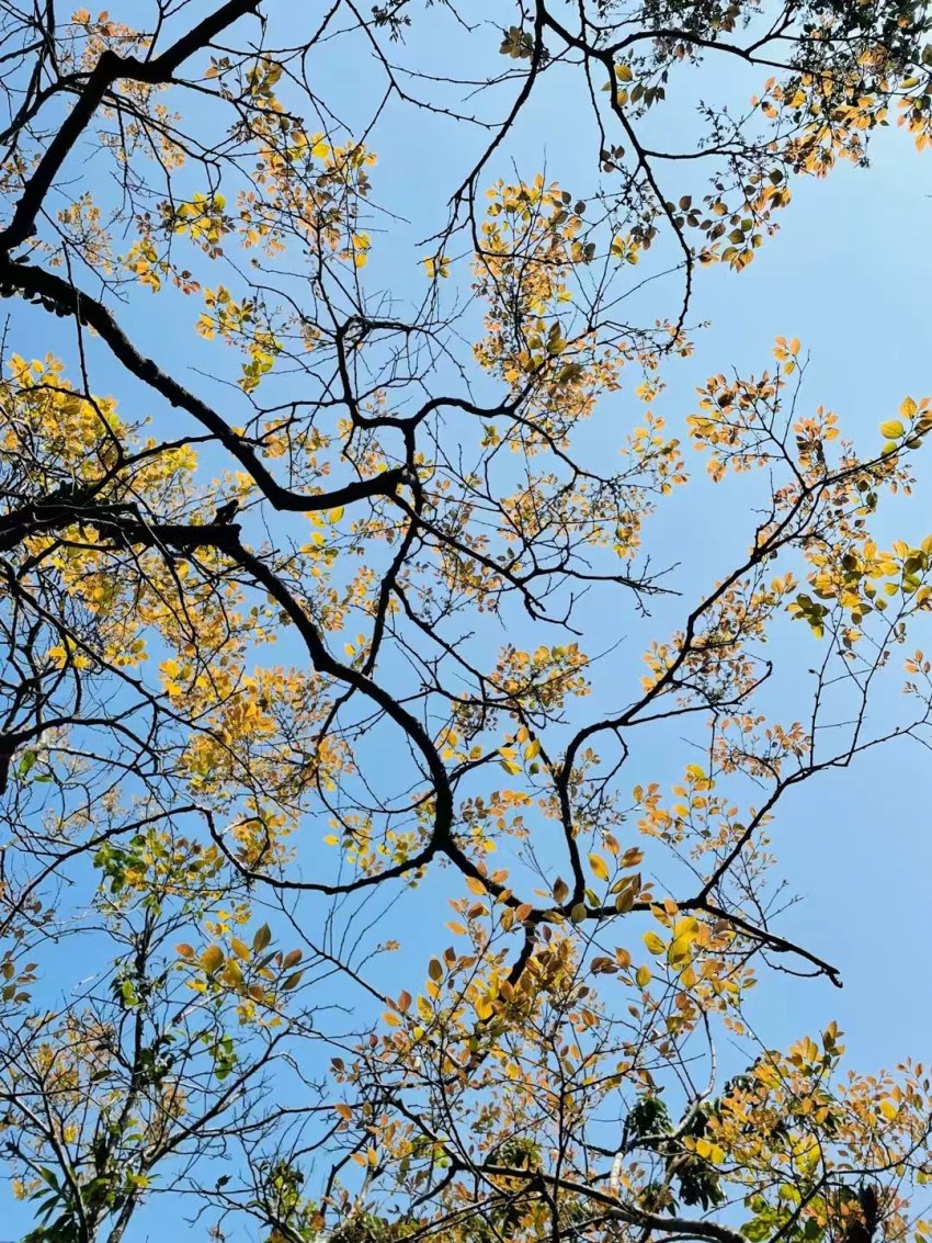 桂西行吟(图3) 桂西行吟(图3)