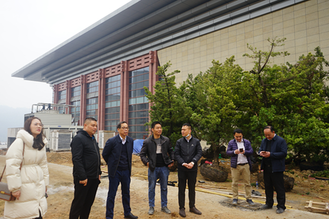 广西第一湾股份古树捐赠广西拔群干部学院(图2)