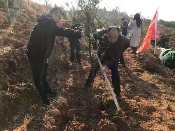 邵阳市北塔区人社局春节后上班第二天 义务植树倡新风(图3)