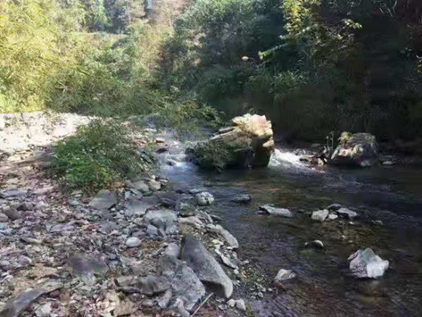 东兰县召开香河漂流项目建设推进会(图5) 东兰县召开香河漂流项目建设推进会(图5)