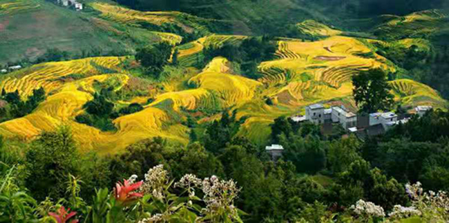 广西自治区国资委原党委副书记韦刚强到广西第一湾公司调研指导工作(图8) 广西自治区国资委原党委副书记韦刚强到广西第一湾公司调研指导工作(图8)