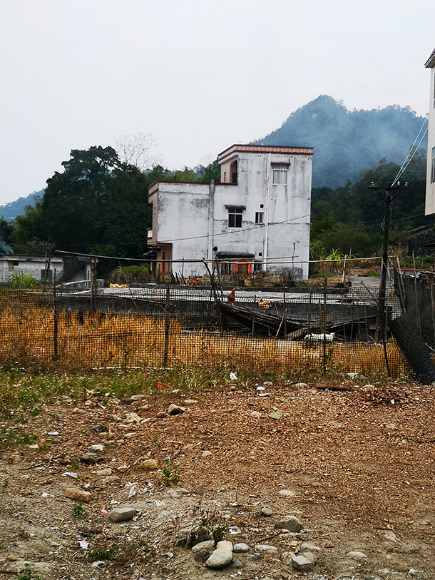 青年博士杨星丽诗歌理论专著《诗道旨格》、诗集《回归》出版发行(图11)