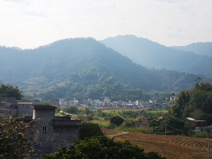 青年博士杨星丽诗歌理论专著《诗道旨格》、诗集《回归》出版发行(图13)